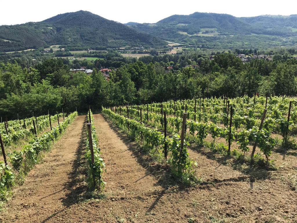 Casa Garello - Degustazione Lunch Lombardia Casa Garello