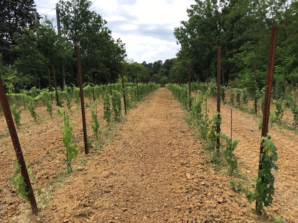 Casa Garello - Degustazione Lunch Lombardia Casa Garello