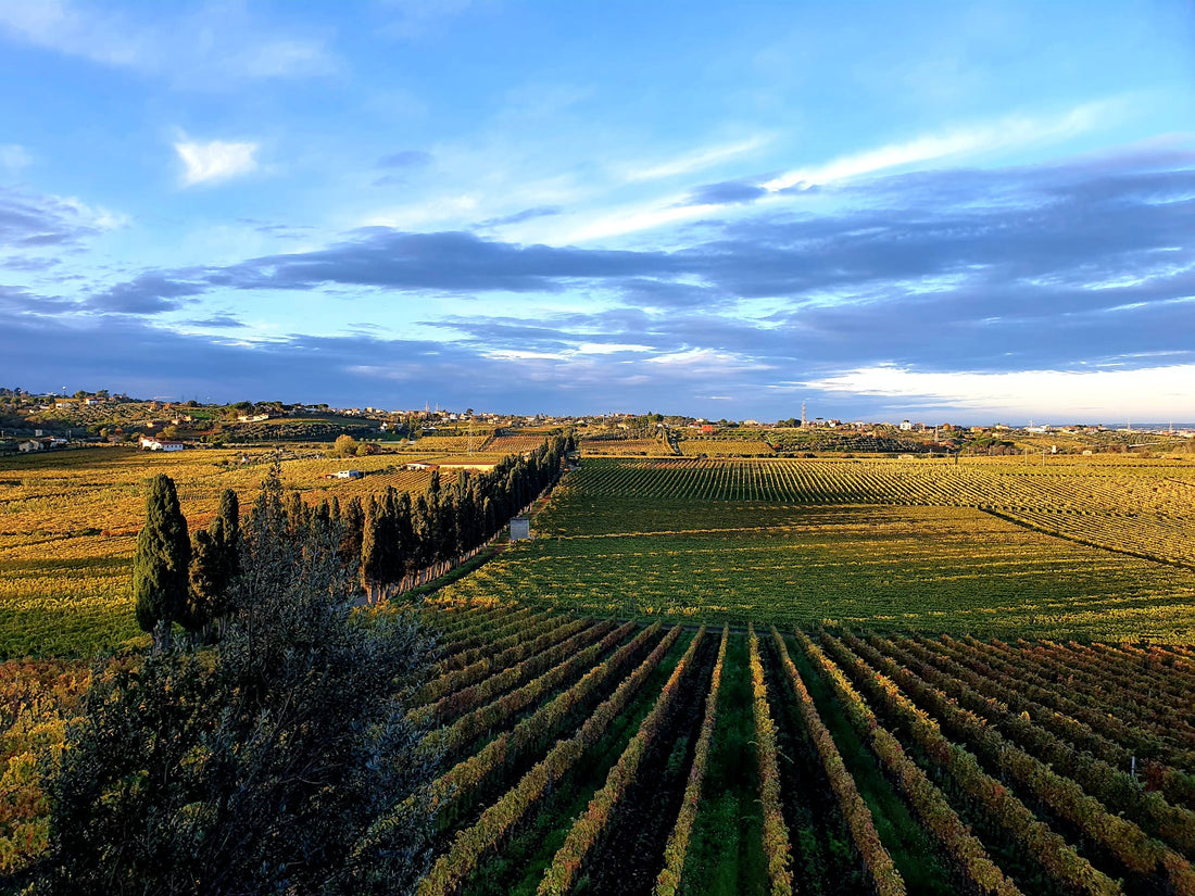 Tenuta di Pietra Porzia - Soggiorno, Degustazione e Massaggio Lazio Tenuta di Pietra Porzia
