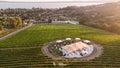 Cantine Capitani - Tour and tasting 4 wines