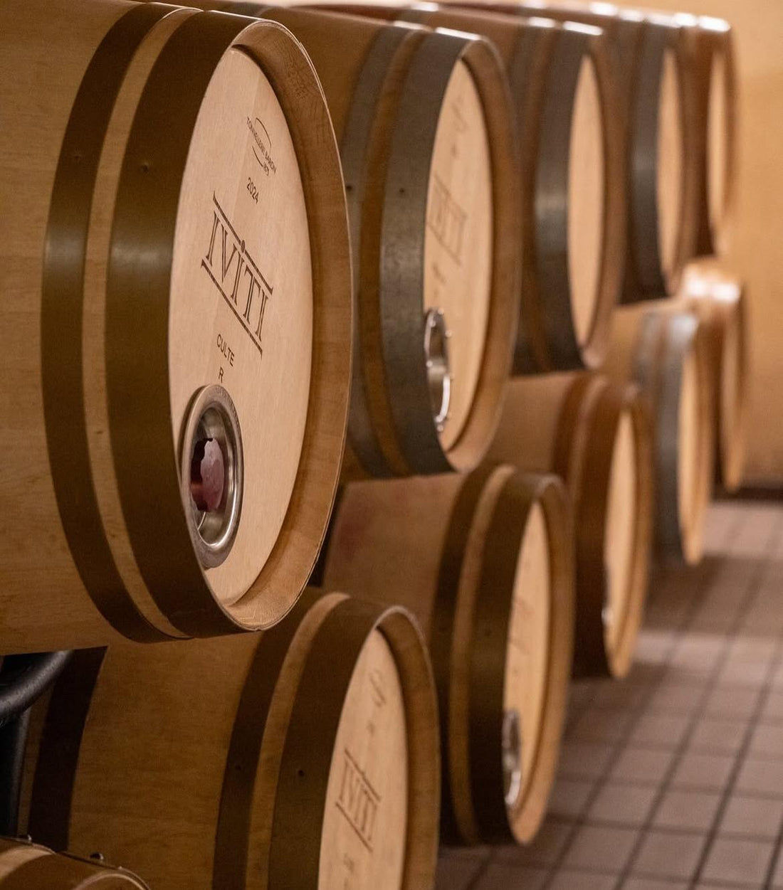 IViti - Pranzo con Degustazione Toscana Iviti