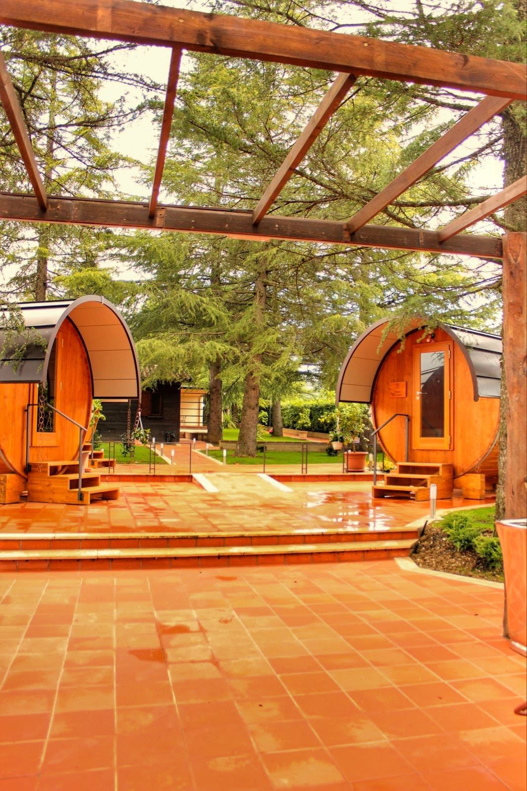 Cantina Le Macchie - Soggiorno in Botte & Degustazione Lazio Cantina Le Macchie