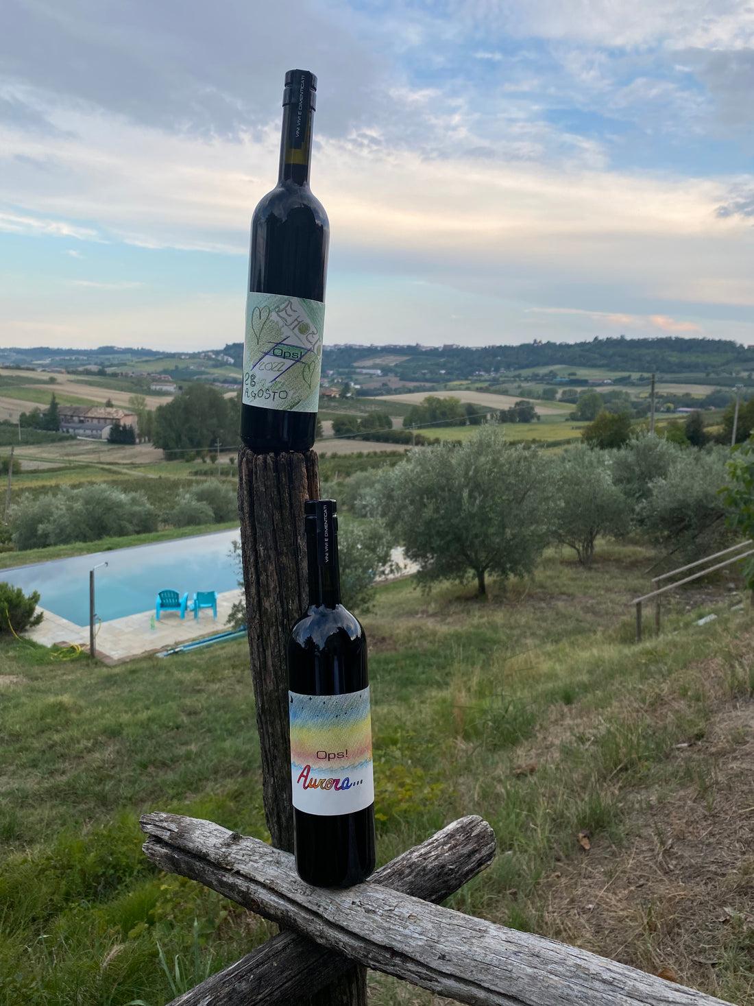 Asotom - Make your Wine Piemonte Asotom