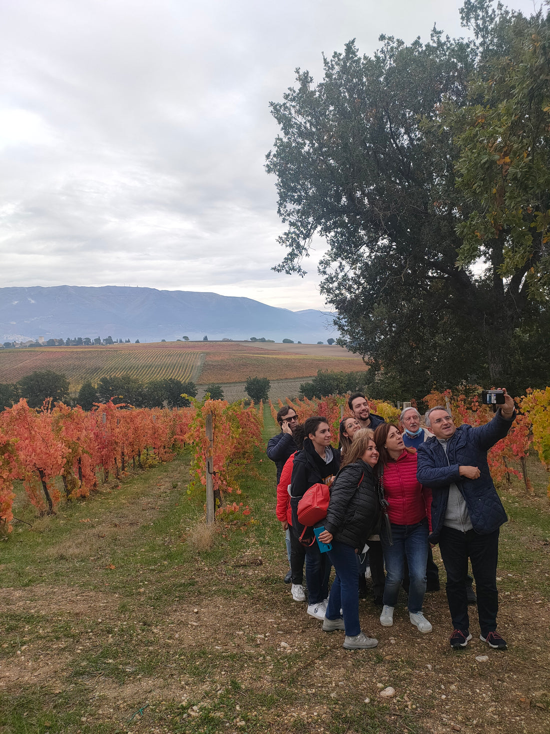 Cantina Napolini - Degustazione Classica Umbria Cantina Napolini
