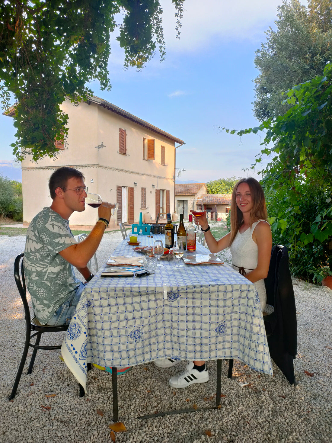 Cantina Napolini - Degustazione Classica Umbria Cantina Napolini