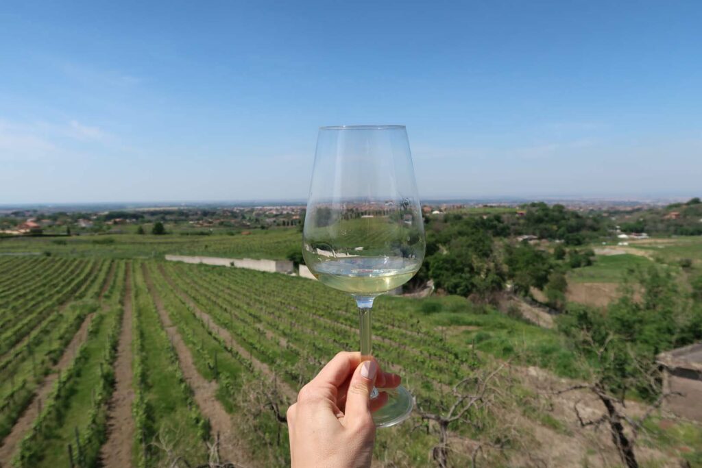 Castel de Paolis - Degustazione Campovecchio Lazio Castel de Paolis