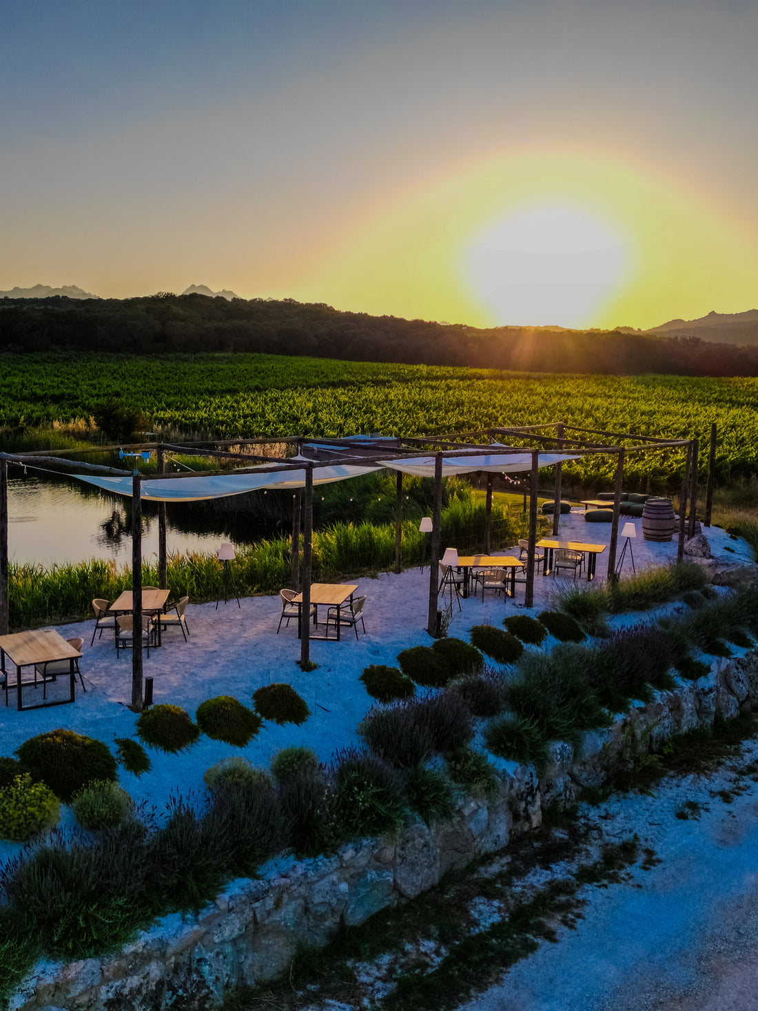 Tenute Gregu - Signature Plus Wine Tasting Sardegna Tenute Gregu