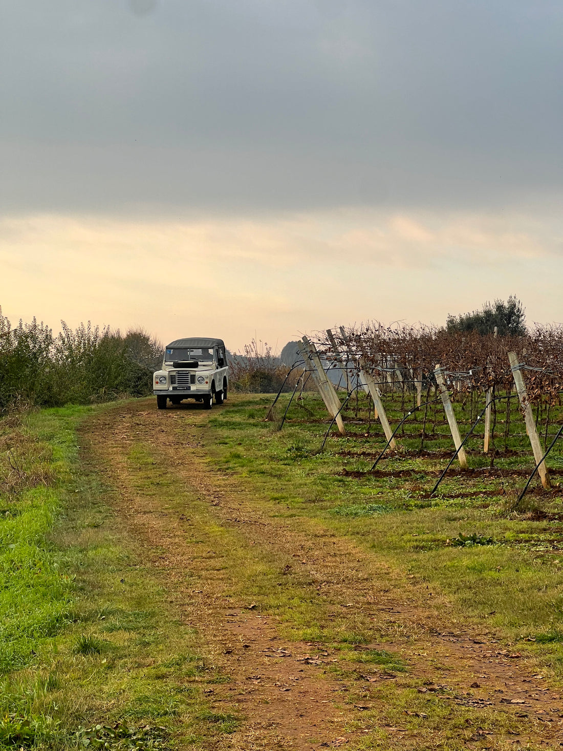 La Pria - Degustazione e Avventura in fuoristrada trai vigneti Veneto La Pria