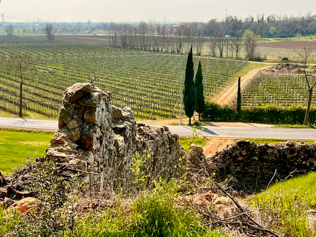 La Pria - Degustazione e Avventura in fuoristrada trai vigneti Veneto La Pria