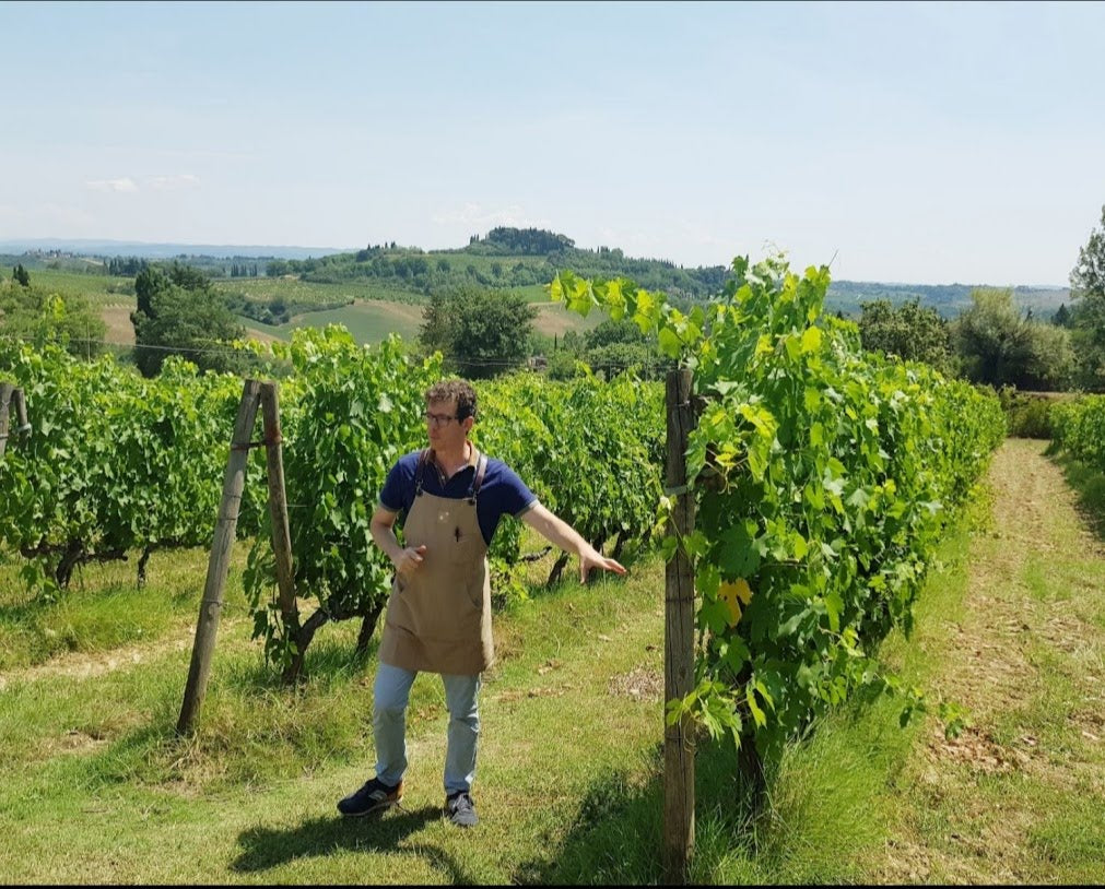 Tenuta Guardastelle - Mini wine tour Toscana Tenuta Guardastelle