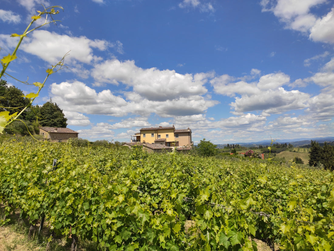 Tenuta Guardastelle - Mini wine tour Toscana Tenuta Guardastelle