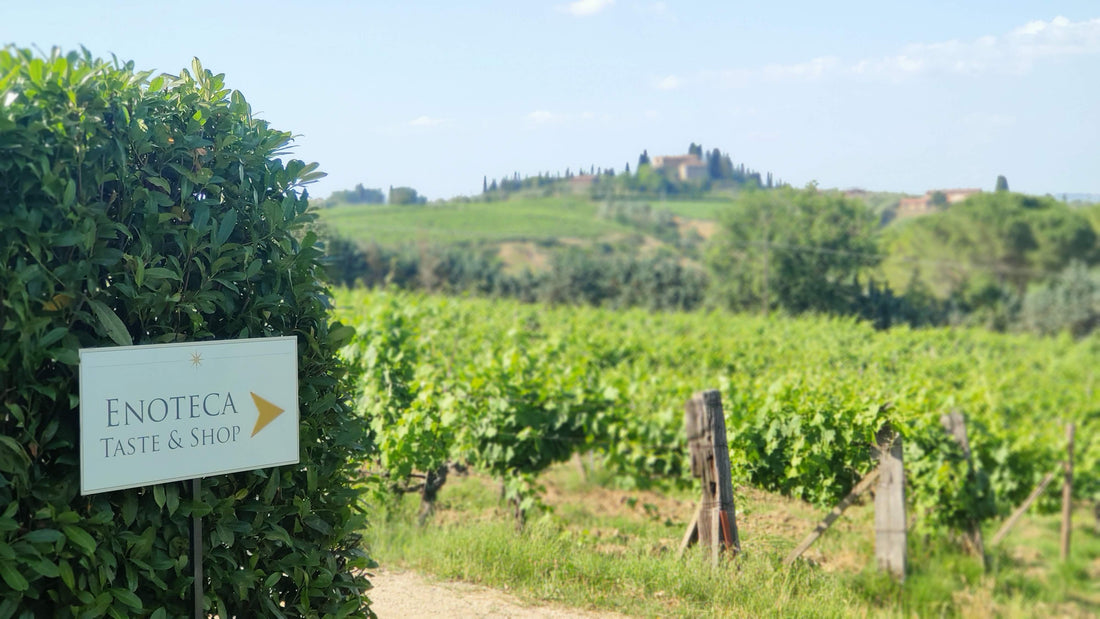 Tenuta Guardastelle - Mini wine tour Toscana Tenuta Guardastelle