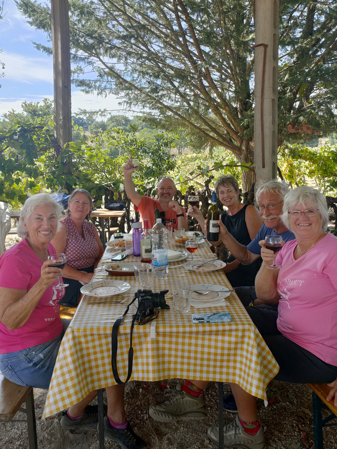 Cantina Napolini - Degustazione Classica Umbria Cantina Napolini