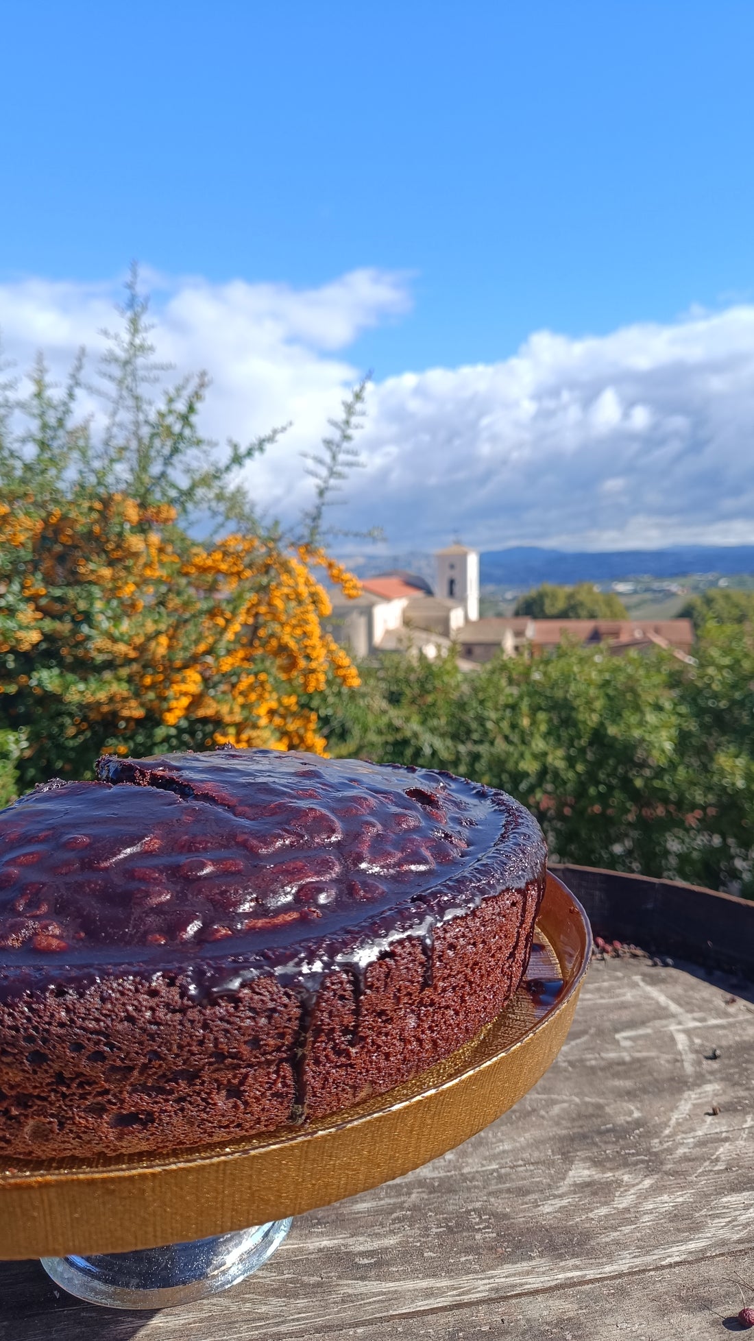 PETRILLO - Pranzo con Degustazione Campania Petrillo