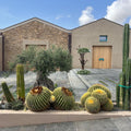Casa Grazia - of lands and places