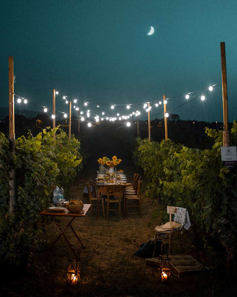 Migliosi viticoltori - Pic Nic Umbria Migliosi viticoltori