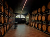 Alessandro Rivetto - Gran Crus