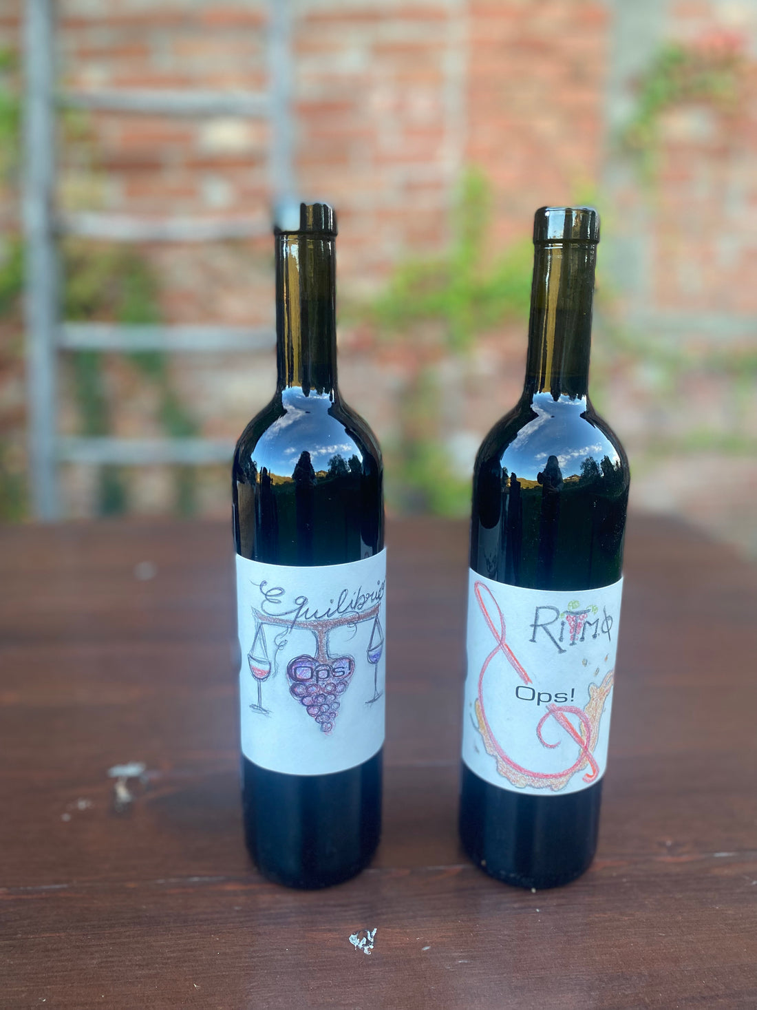 Asotom - Make your Wine Piemonte Asotom