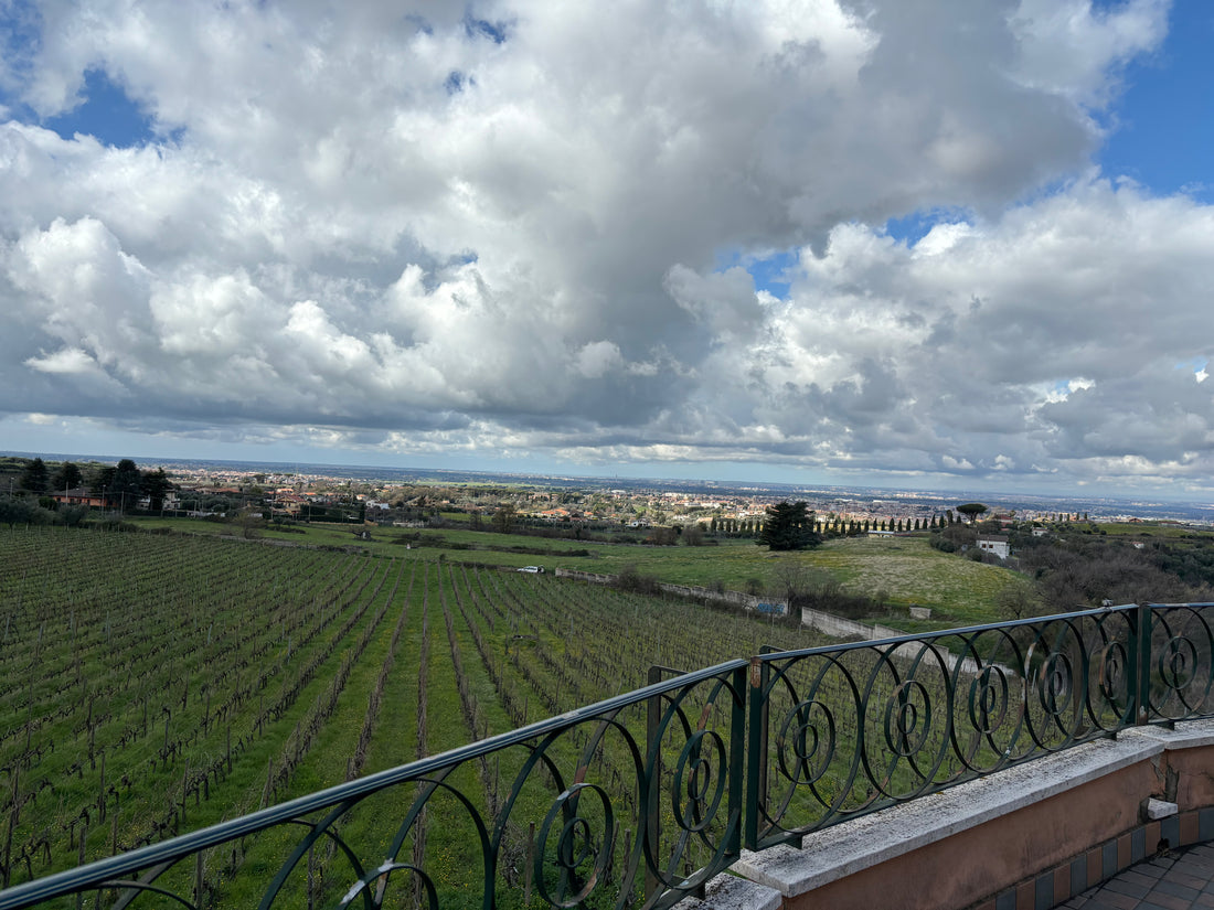 Castel de Paolis - Degustazione Campovecchio Lazio Castel de Paolis