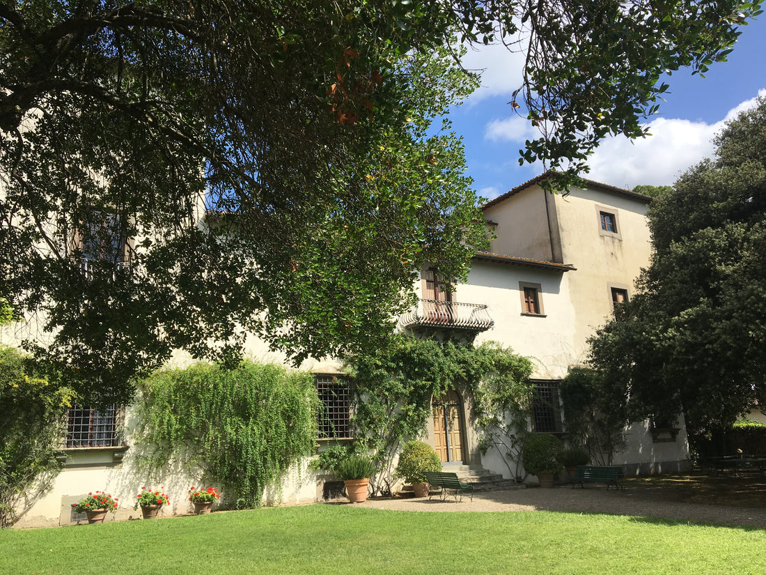 Fattoria Bellavista - Bellavista Experience Toscana Fattoria Bellavista