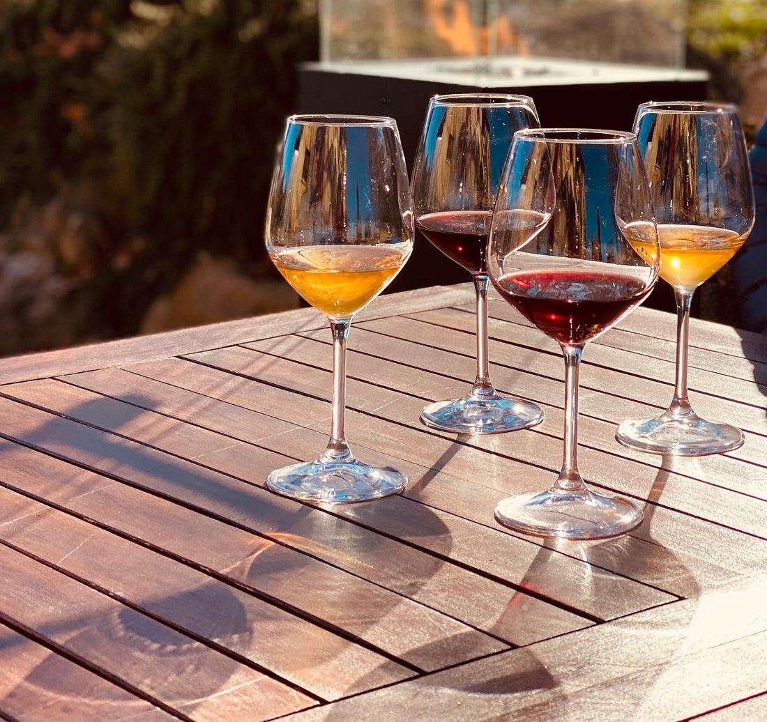 Fattoria La Maliosa - Degustazione e visita della Fattoria Toscana Fattoria La Maliosa