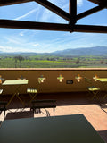 Cantina Perticaia - Experiencia Clásica del Vino