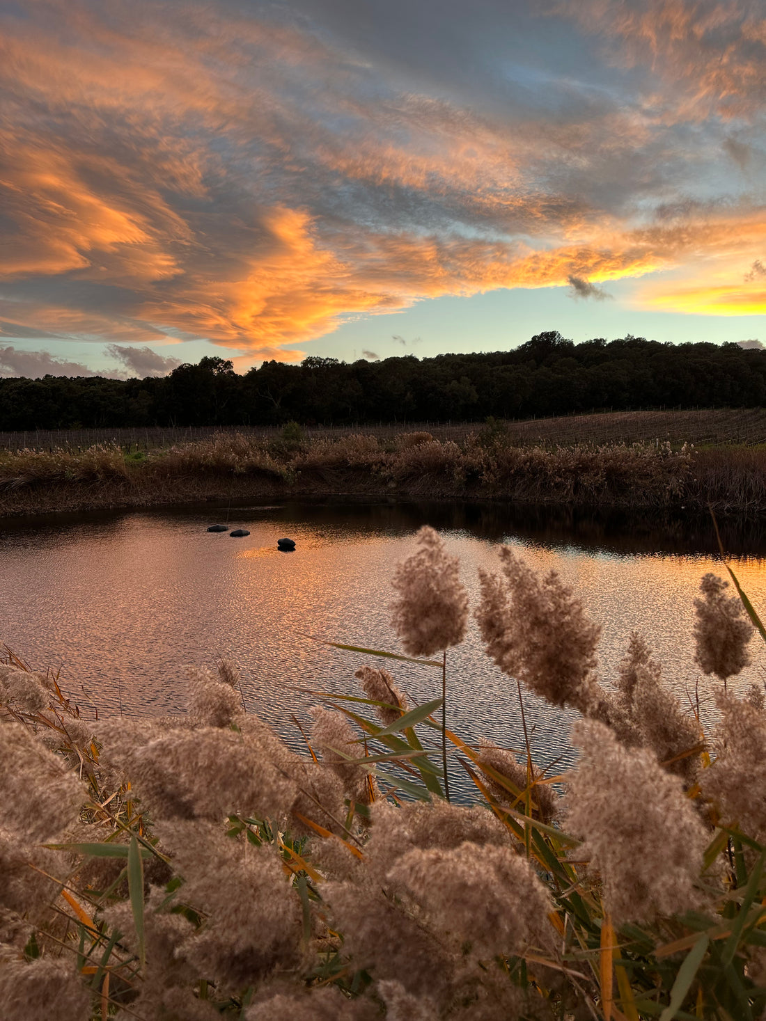 Tenute Gregu - Signature Plus Wine Tasting Sardegna Tenute Gregu