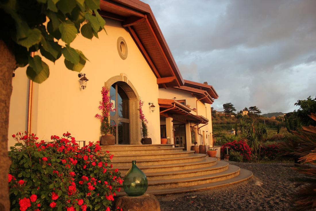 De Sanctis - Degustazione Vino Premium Lazio De Sanctis