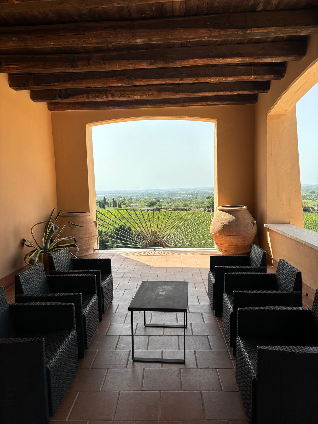 Marco carpineti - Degustazione di 4 Etichette Marco Carpineti Lazio Marco Carpineti