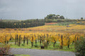 Heirs of the Popes - Tasting 3 Wines with Light Lunch
