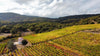 Sedilesu Winery - Visit and Tasting 2 Wines