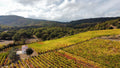 Sedilesu Winery - Visit and Tasting 2 Wines