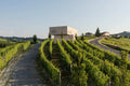 Abstemio Arrepentido - Cata de vinos 