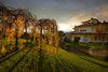 I Cacciagalli - Stay & Tasting