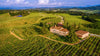 Tassarolo Castle - Tasting 5 wines 