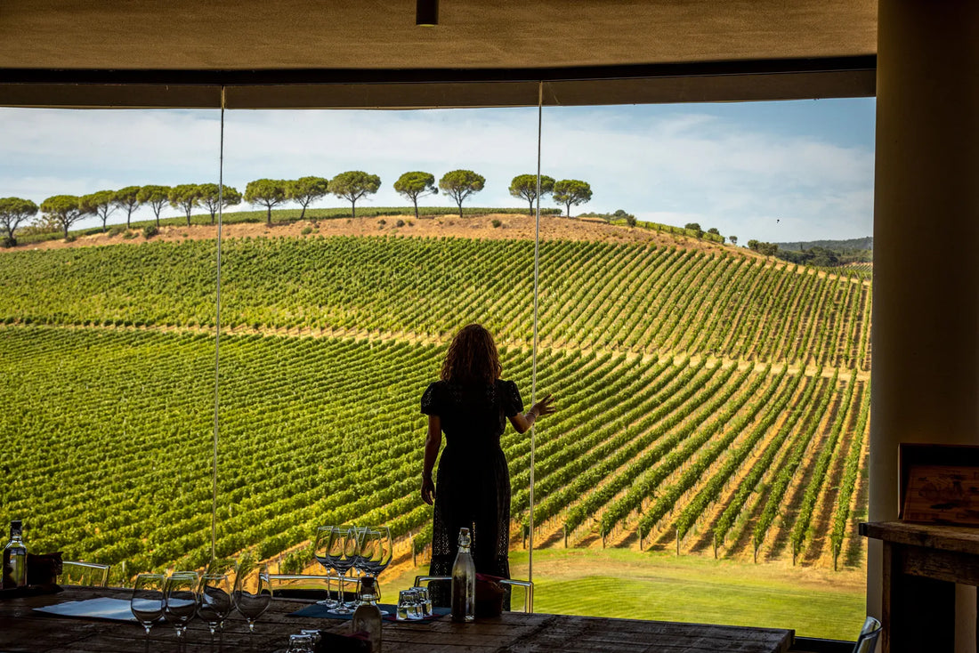 Le Mortelle - Nel Cuore della Cantina