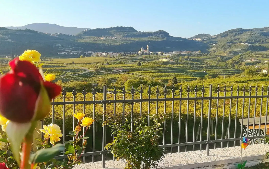 Le Bignele - Relax in Valpolicella Veneto Le Bignele