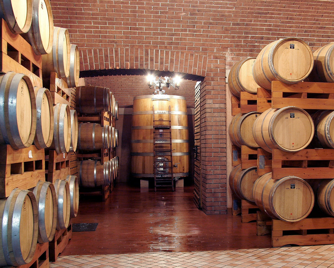 Castellani Michele - Degustazione 4 Vini Veneto Castellani Michele