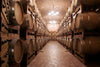 Castellani Michele - Tasting of 4 wines