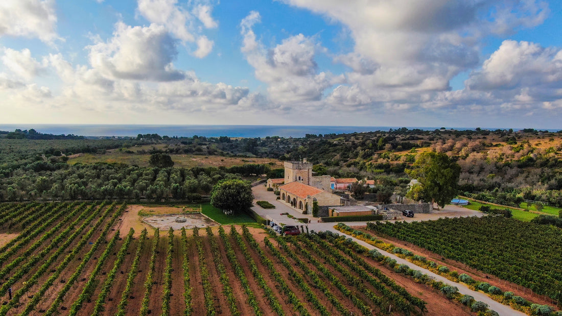 Masseria Fano Relais & Wine - Suite sea view soggiorno e degustazione Puglia Masseria Fano Relais & Wine