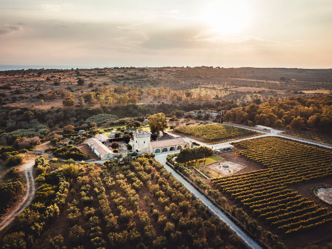 Masseria Fano Relais & Wine - Suite sea view soggiorno e degustazione Puglia Masseria Fano Relais & Wine