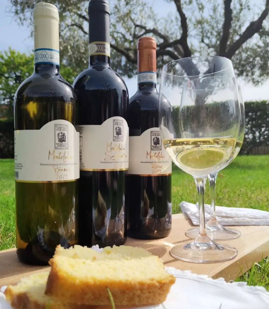 Moretti Omero - Pic Nic Umbria Moretti Omero