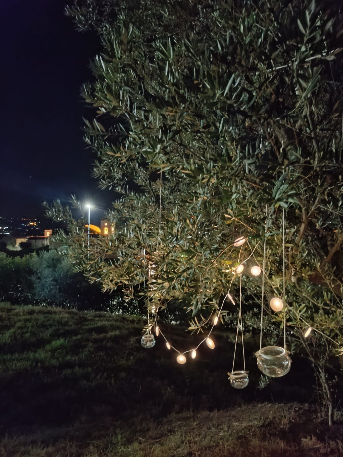 PETRILLO - Menù degustazione Campania Petrillo