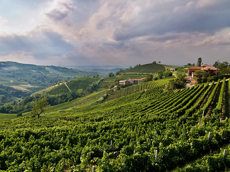 Soggiorno & Degustazione in Wine Resort - Lombardia Lombardia Lombardia