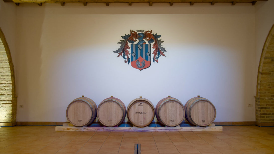 Derasmo Vini - Degustazione Guidata Marche Derasmo Vini