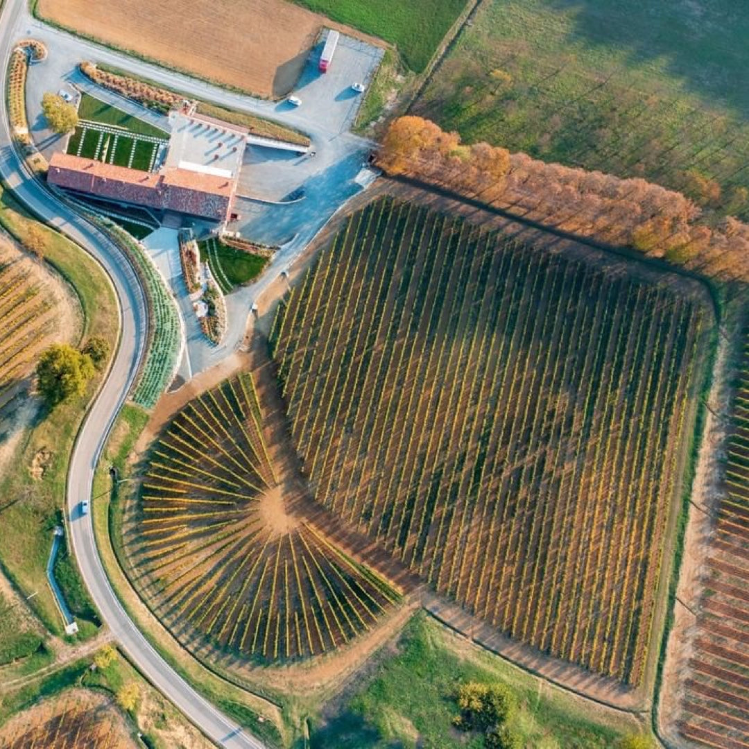 Cascina Binè - Soggiorno & Pranzo in Cantina Piemonte Cascina Binè