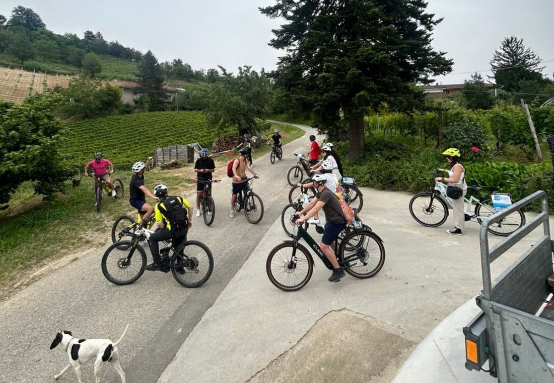 Tojo - Degustazione 3 Calici Piemonte Tojo