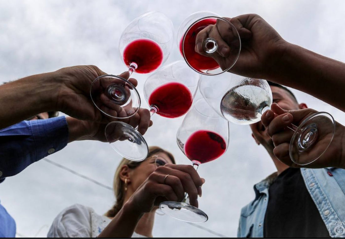 Tojo - Degustazione 5 Calici Piemonte Tojo