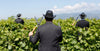 Tenuta L'Armonia - Tasting Get to know L'Armonia