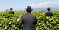 Tenuta L'Armonia - Tasting Get to know L'Armonia
